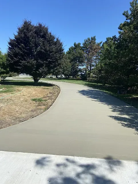 A concrete driveway going through a park with trees on both sides.