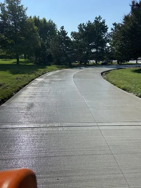 A concrete driveway with trees on the side of it