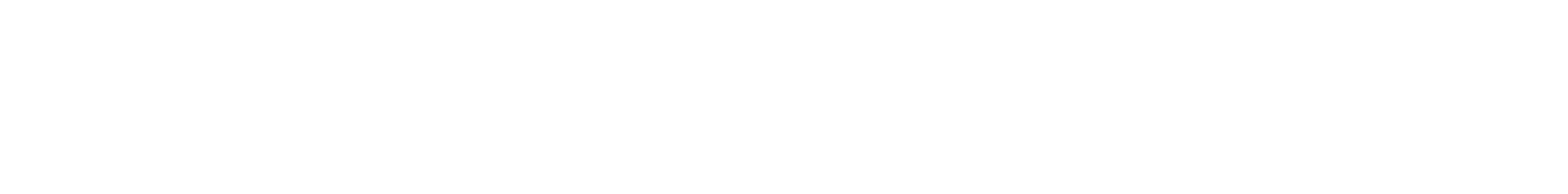 Blank white horizontal strip with a thin gray border