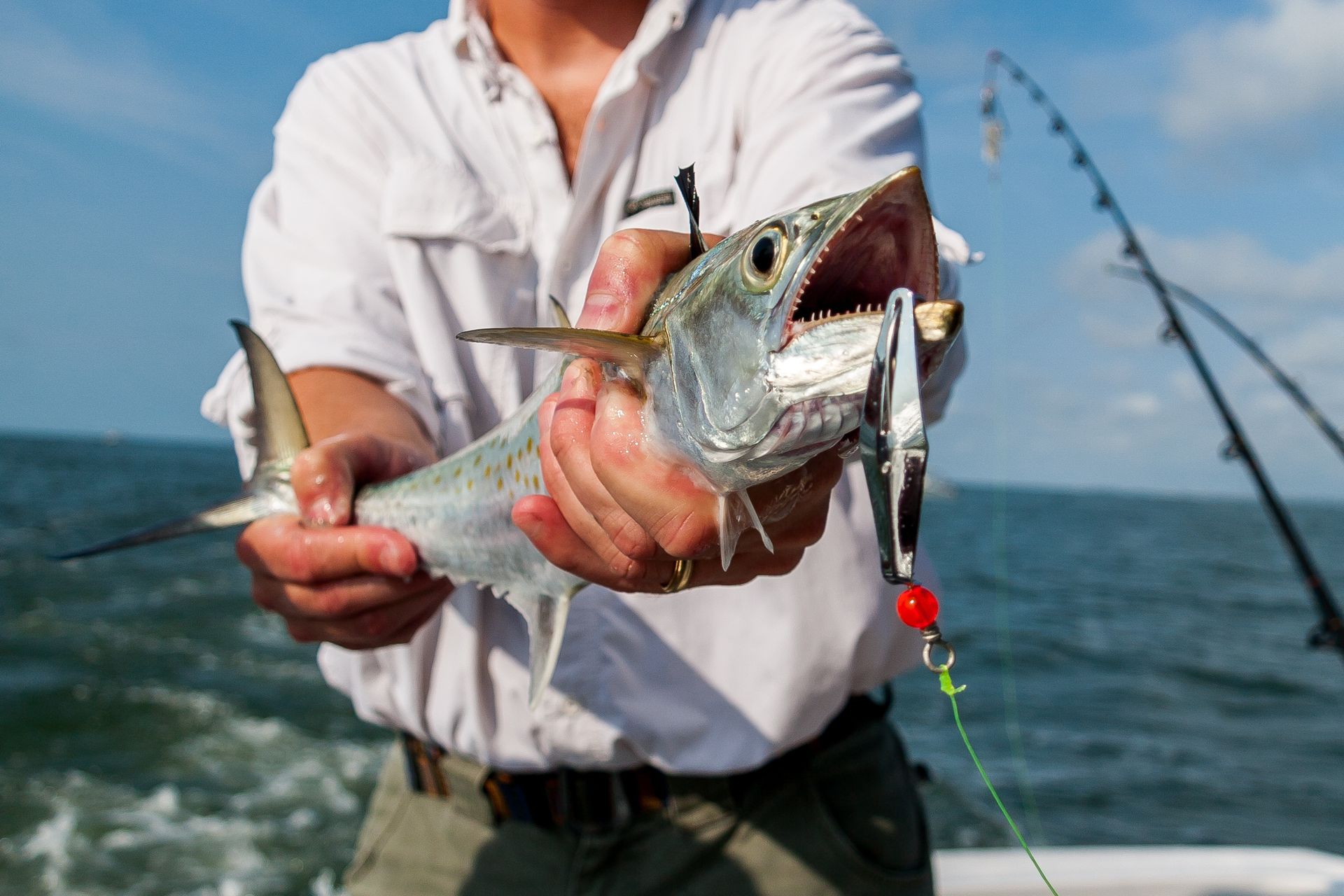 A man is holding a fish in his hands on a deep sea fishing boat in Panama City Beach, FL.