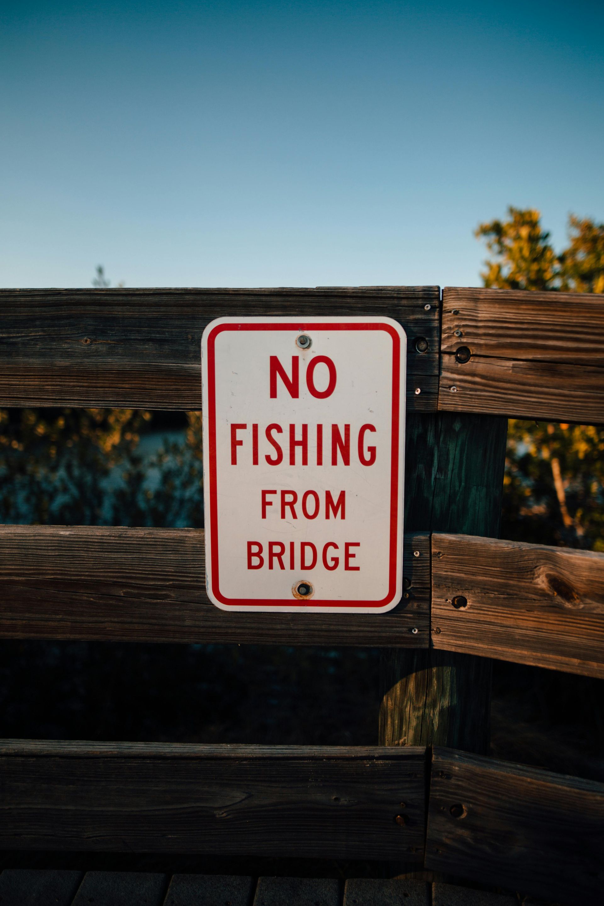 Florida fishing license requirements for Panama City Beach saltwater fishing charters