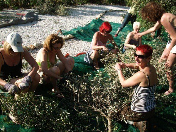 Ladies day in November, near Villa Angelos