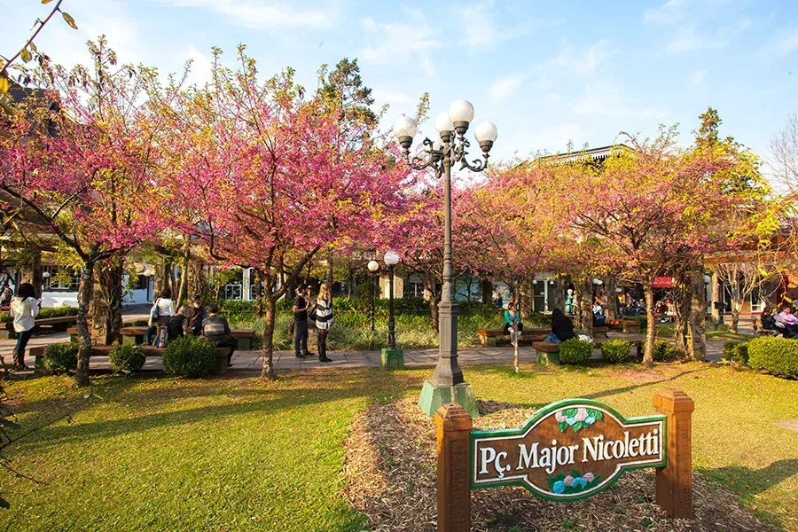 Um parque público com cerejeiras cor-de-rosa em flor, um poste de luz decorativo e uma placa com os dizeres