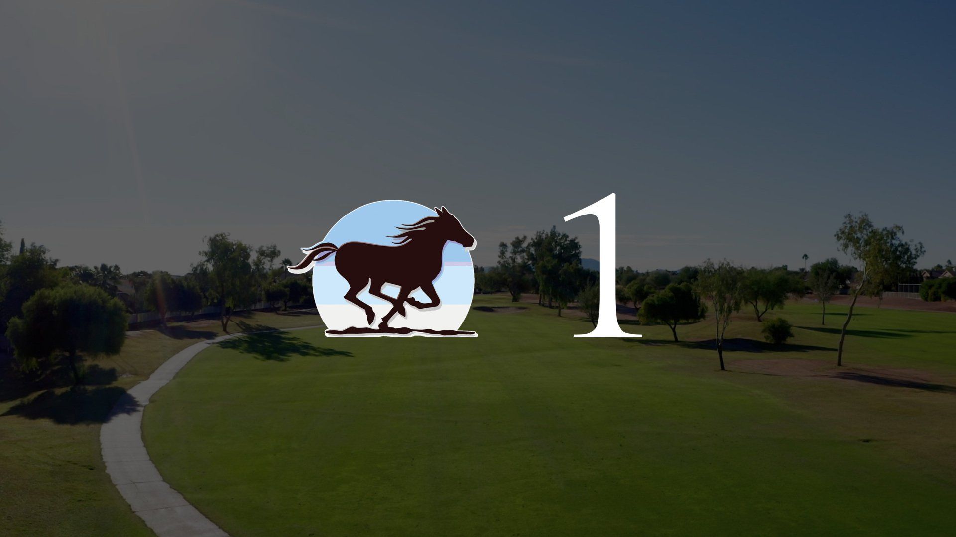 A horse is running in a circle with the number 1 on it.