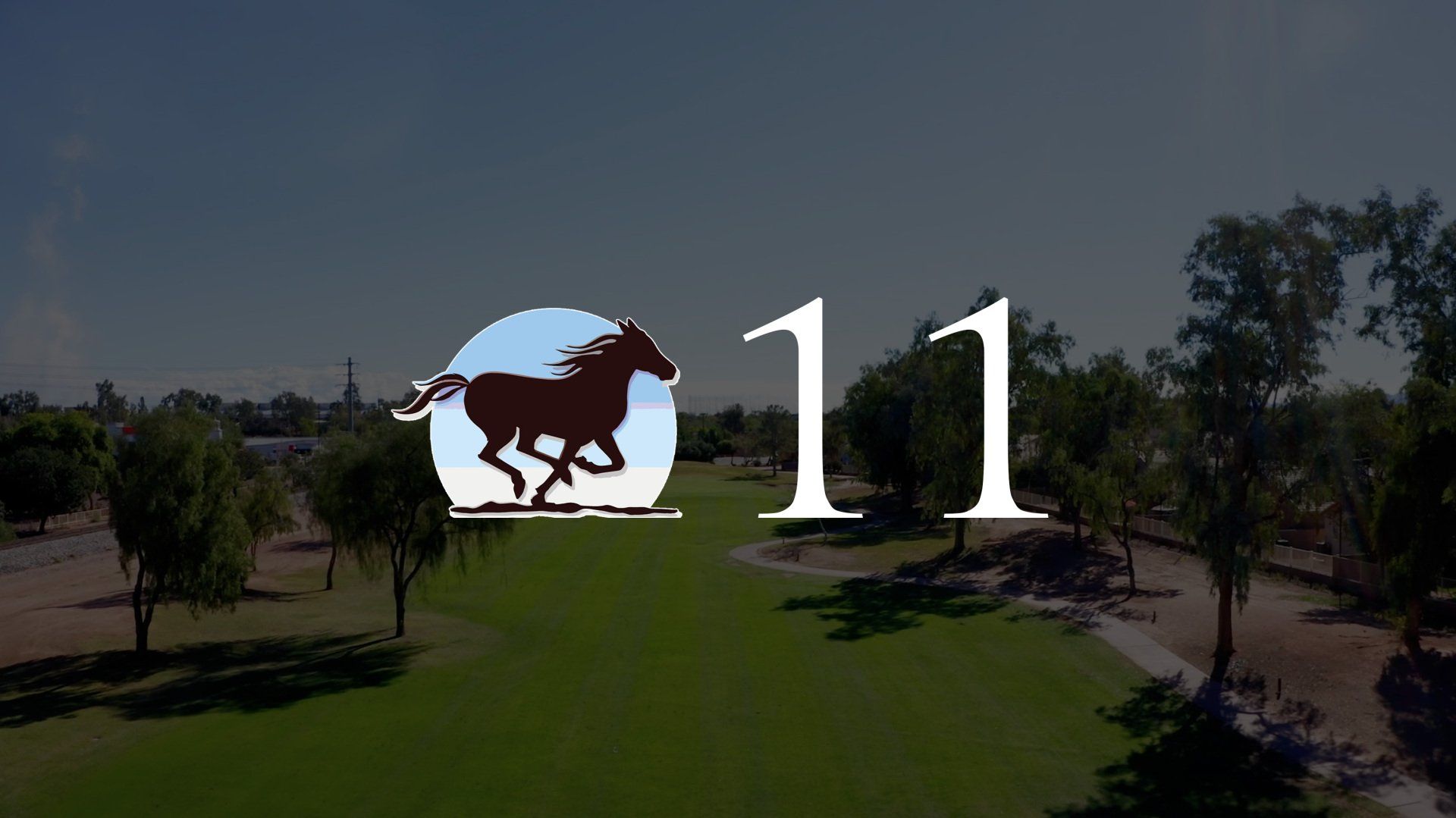 A picture of a horse and the number 11 on a field