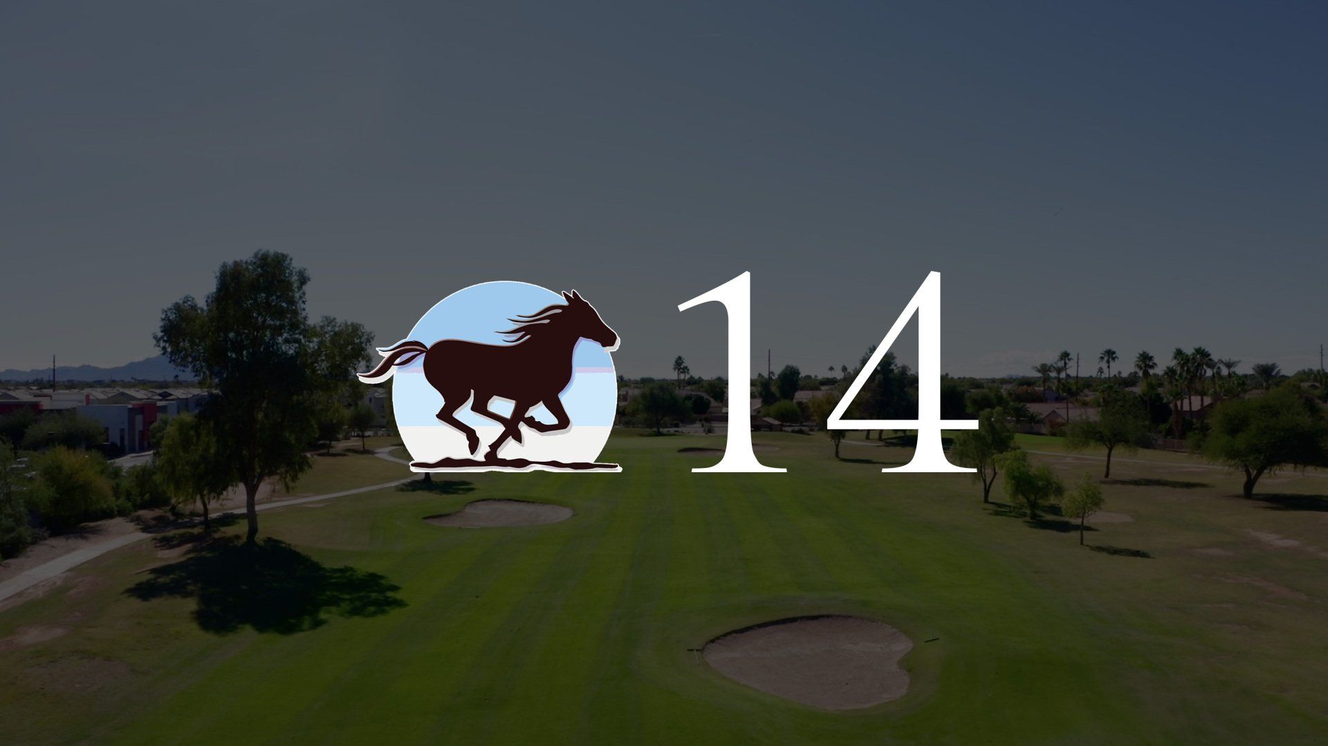 An aerial view of a golf course with the number 14 and a horse.