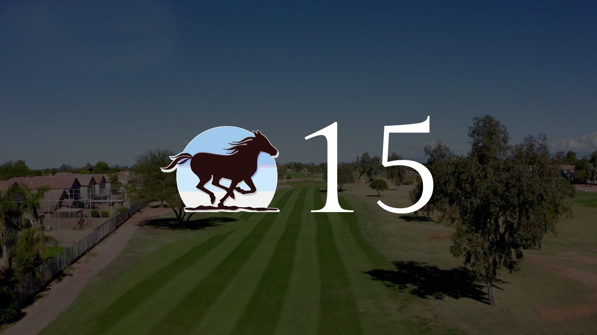 A picture of a horse with the number 15 on it