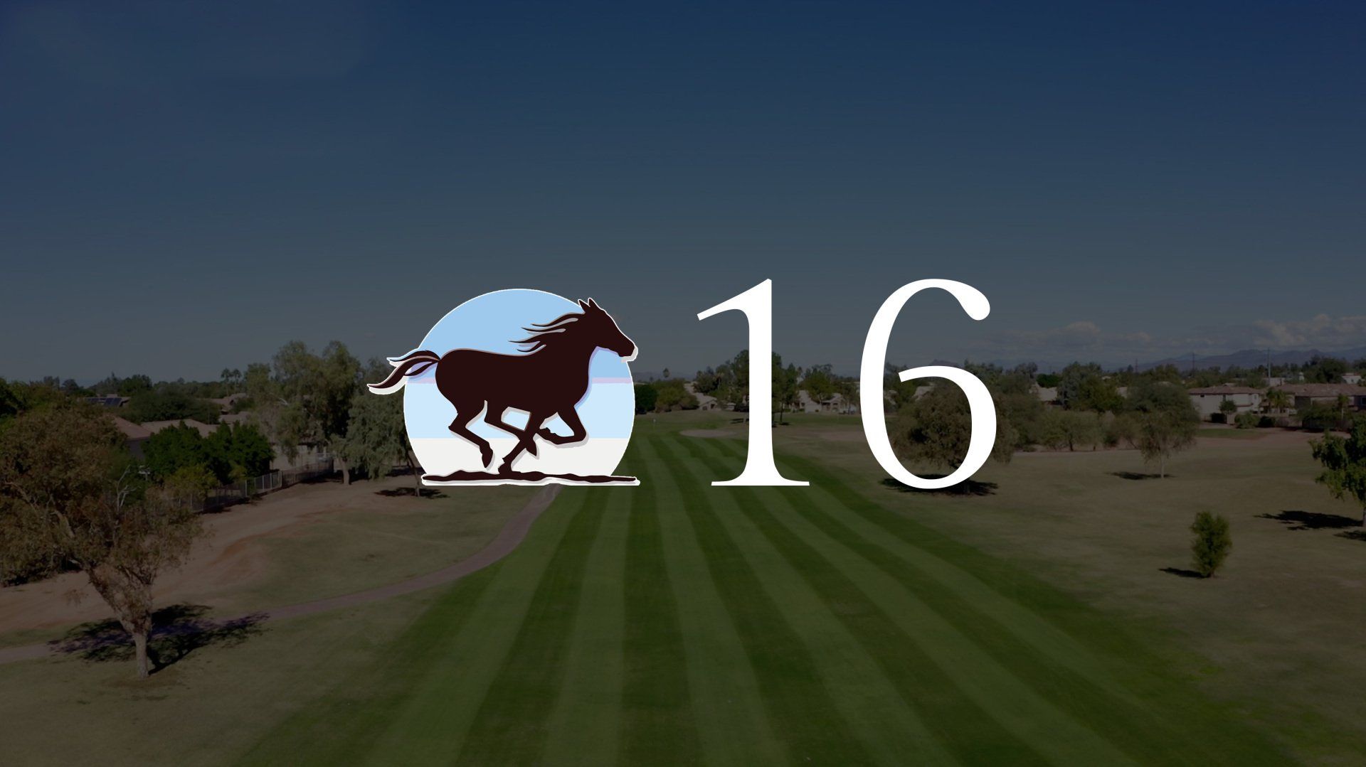A picture of a horse on a golf course with the number 16