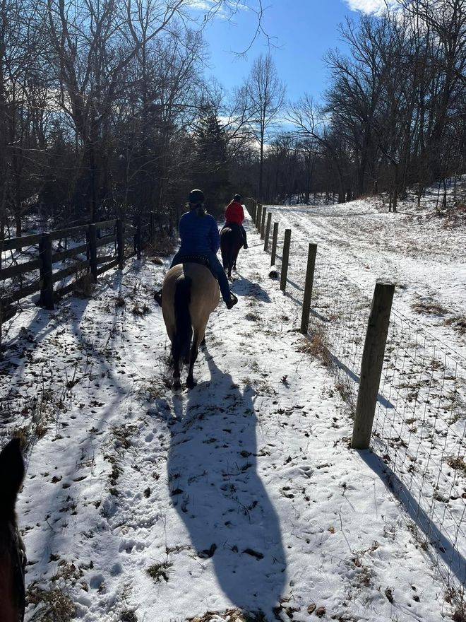 A group of people are riding horses down a snowy path.