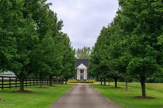 A driveway leading to a house lined with trees.