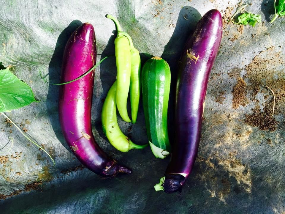 A bunch of different types of vegetables are sitting on a table