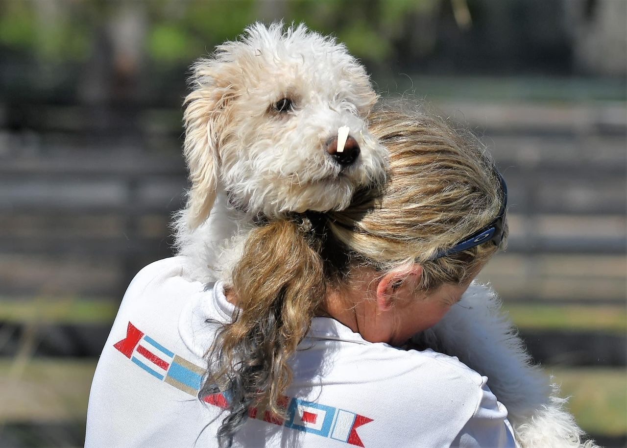 A woman is holding a small white dog on her shoulders.