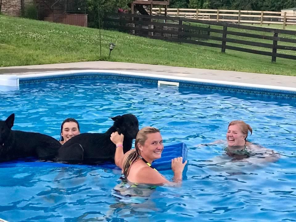 A group of people are swimming in a pool with horses.