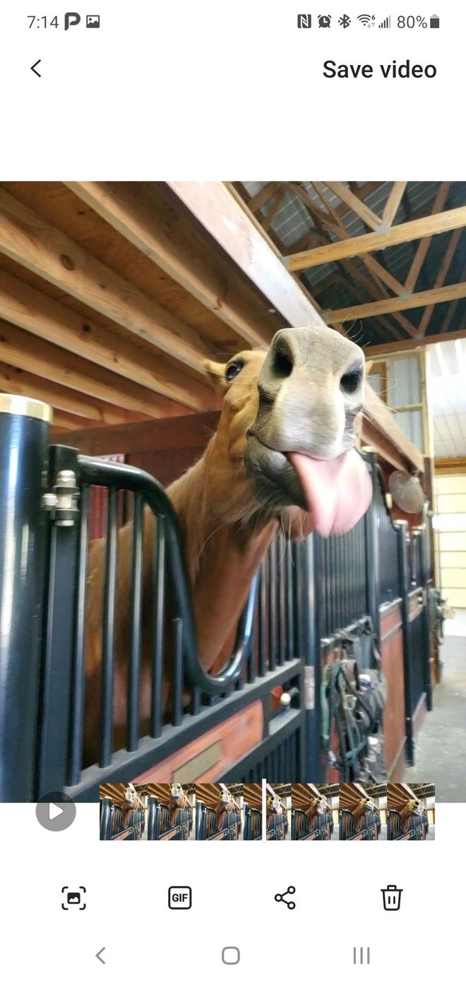 A horse sticking its tongue out of a fence in a stable.