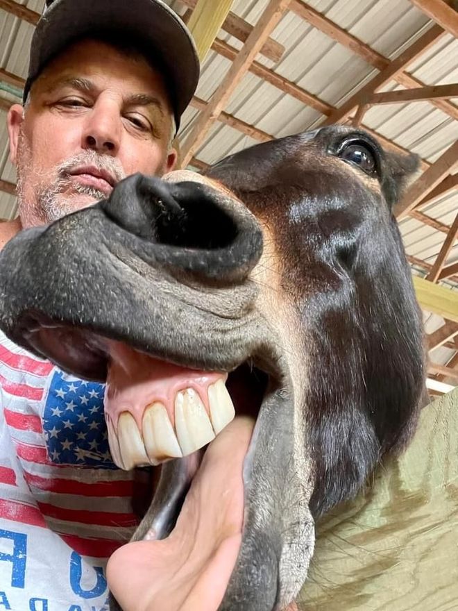 A man is taking a selfie with a horse with its mouth open.