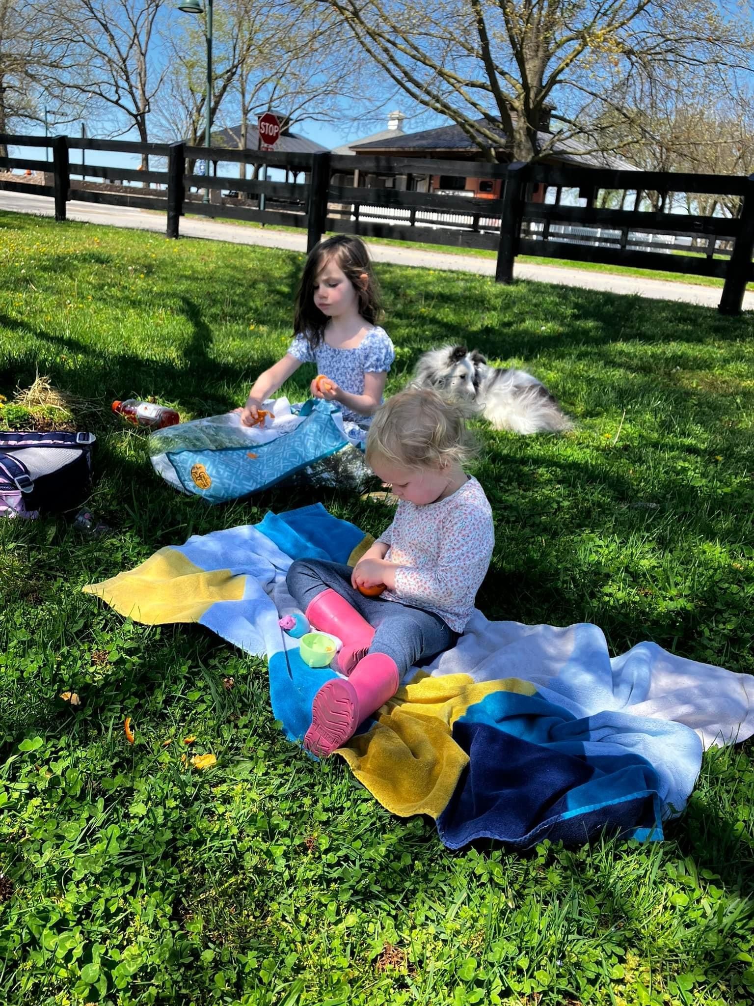 Two little girls are sitting on a blanket in the grass.