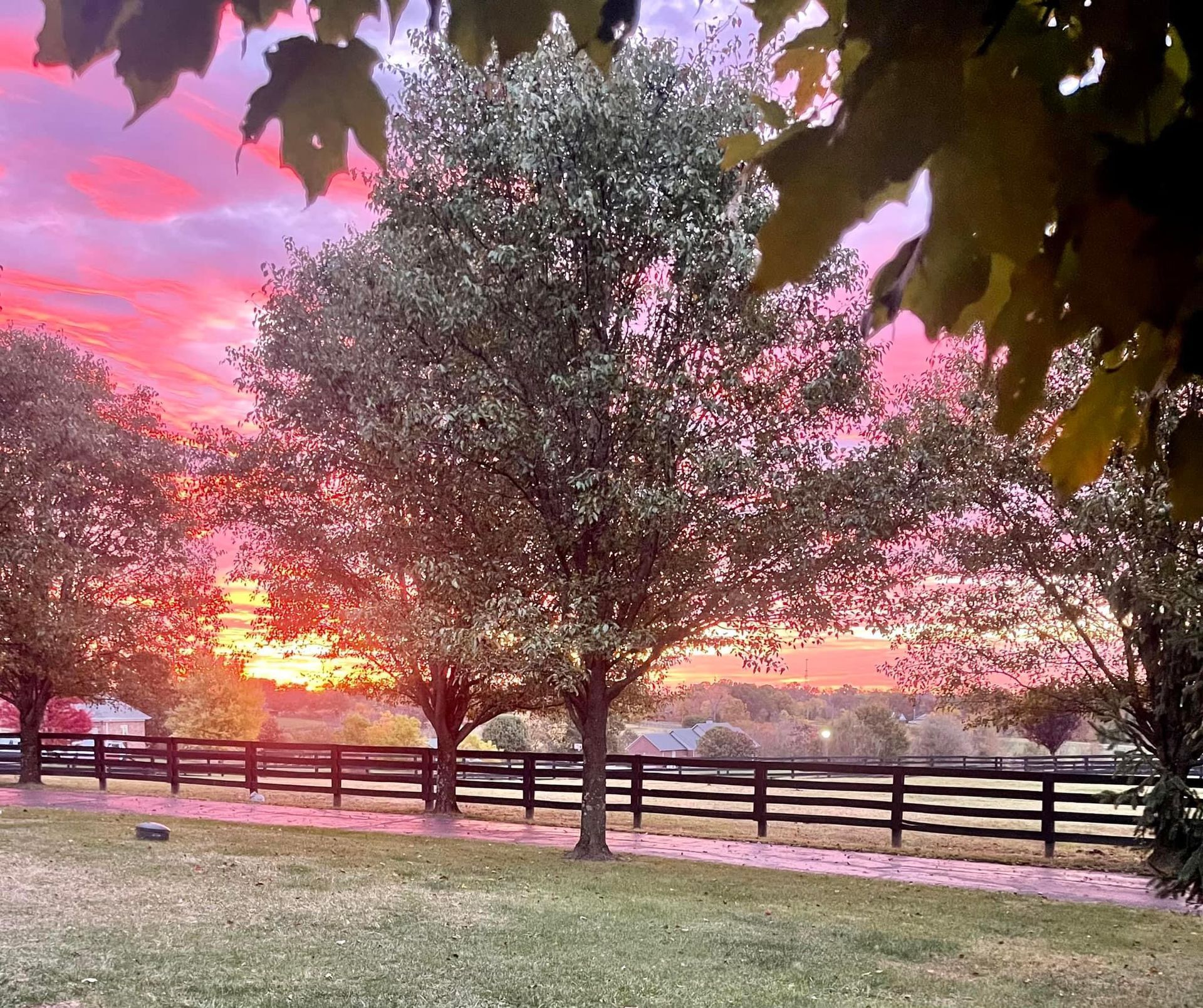 A fenced in area with trees and a sunset in the background.