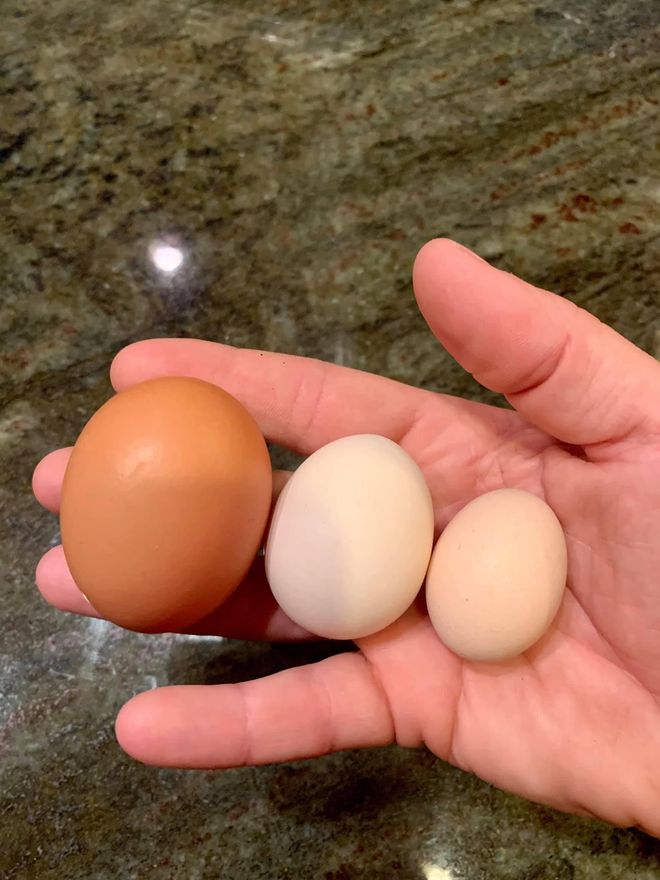 A person is holding three different sized eggs in their hand.