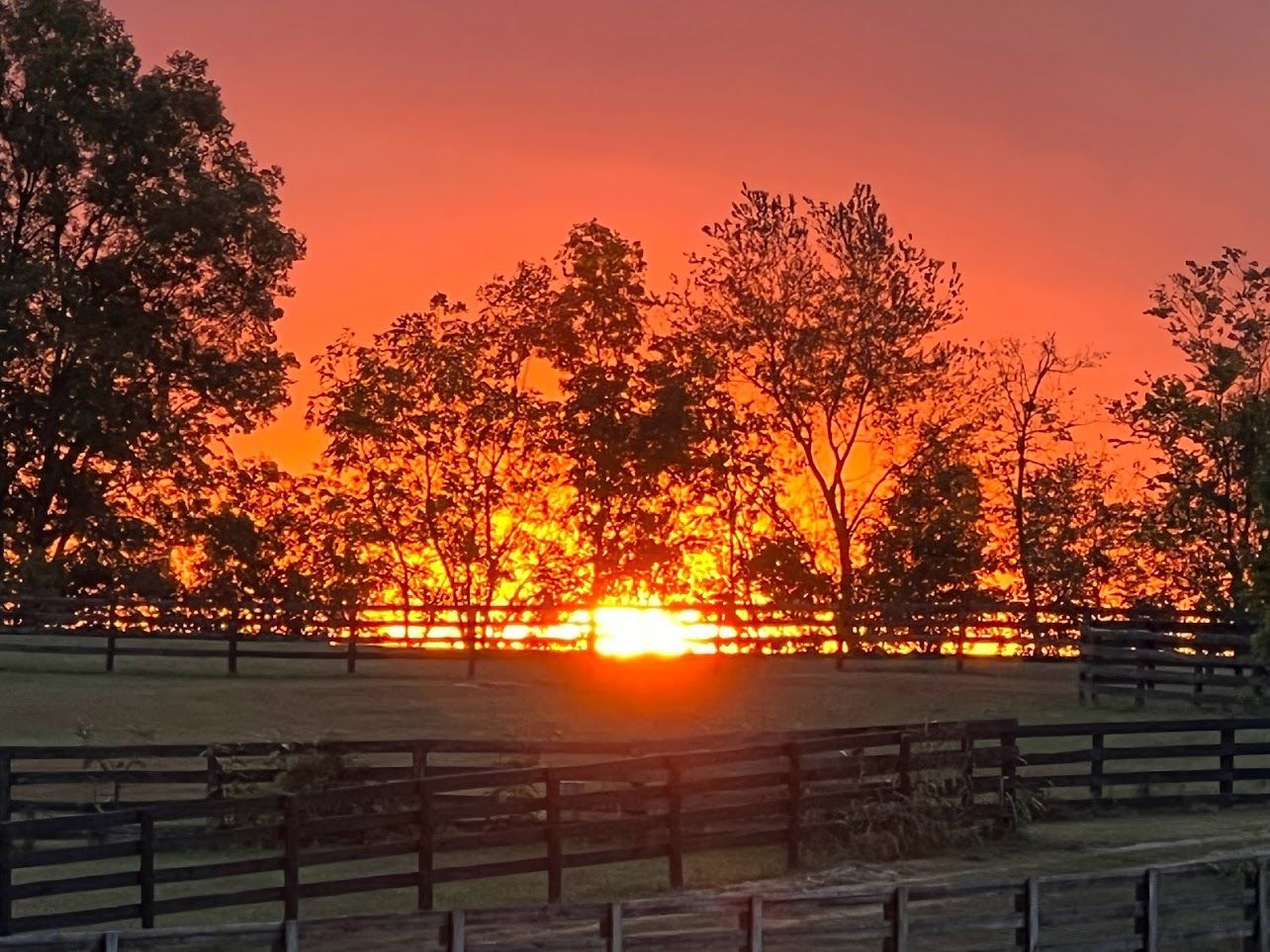 A sunset over a wooden fence with trees in the foreground