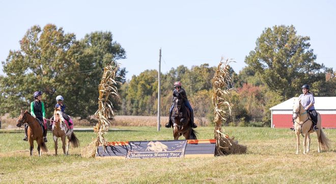 A group of people are riding horses in a field