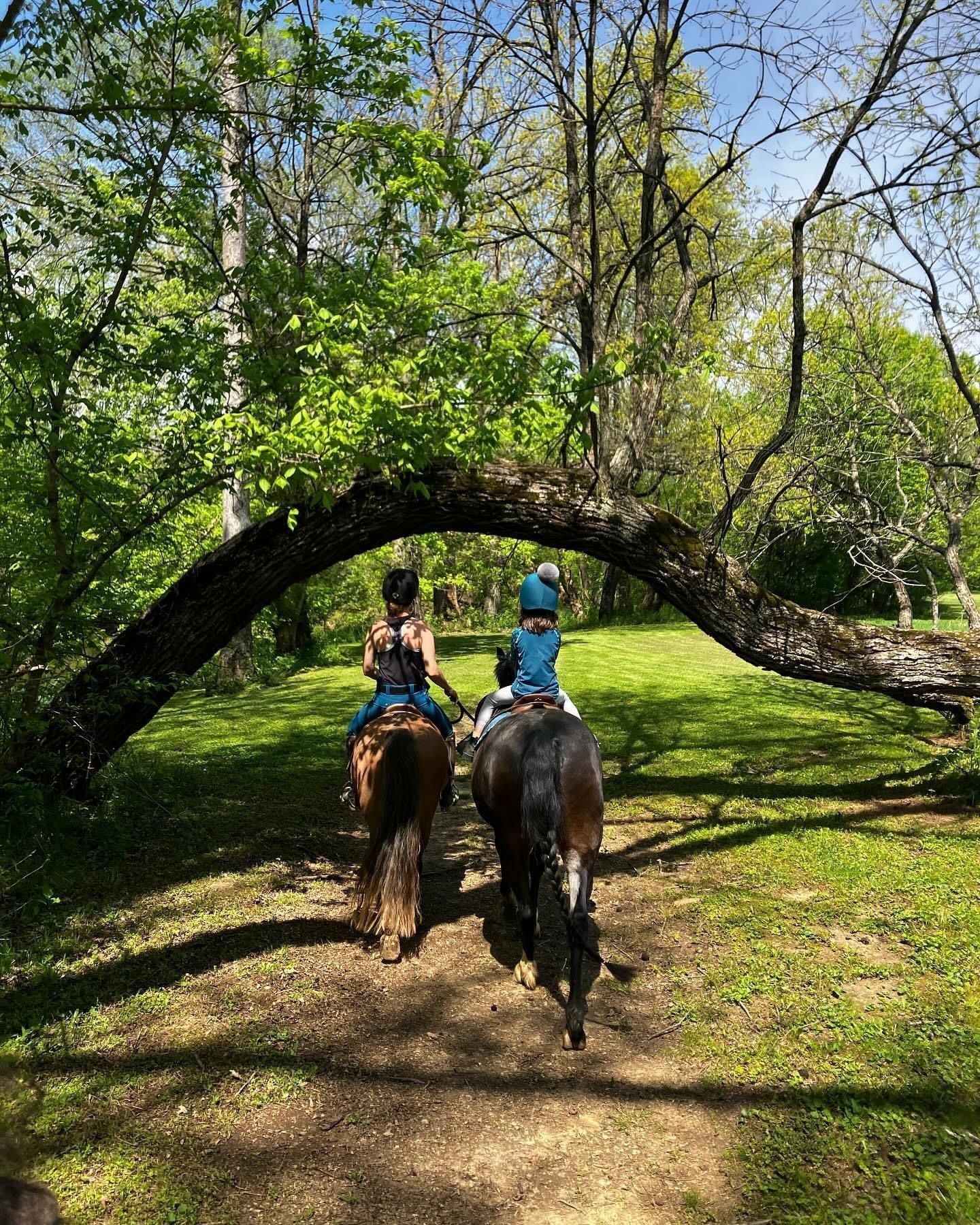 Two people are riding horses through a forest.