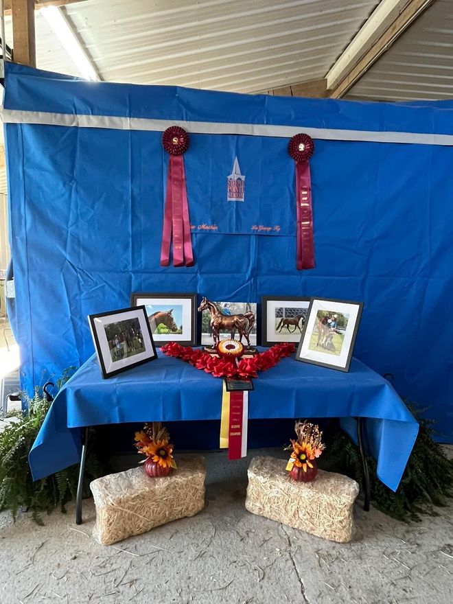 A table with pictures and ribbons on it in front of a blue tarp.