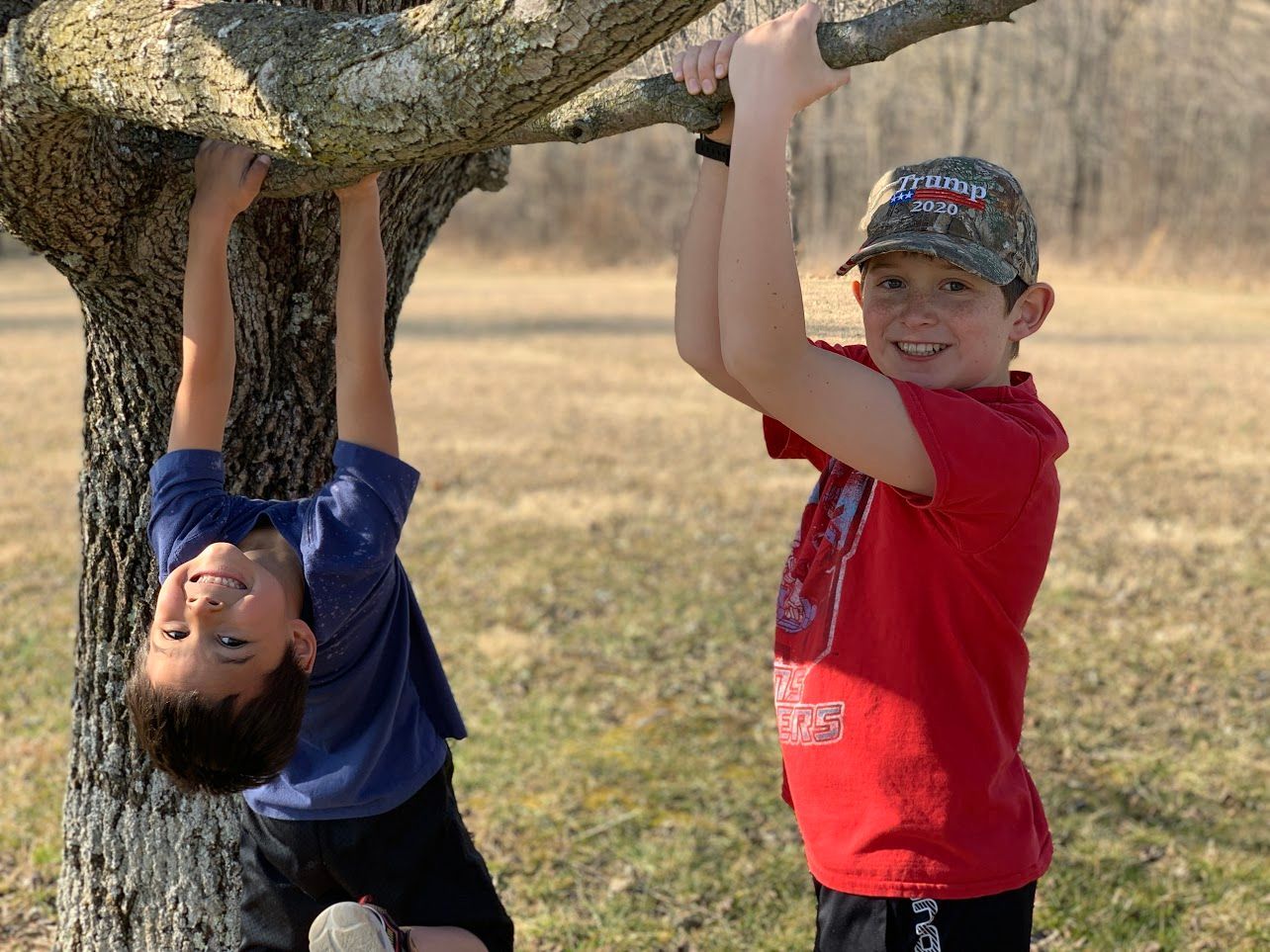 Two young boys are hanging upside down from a tree branch.