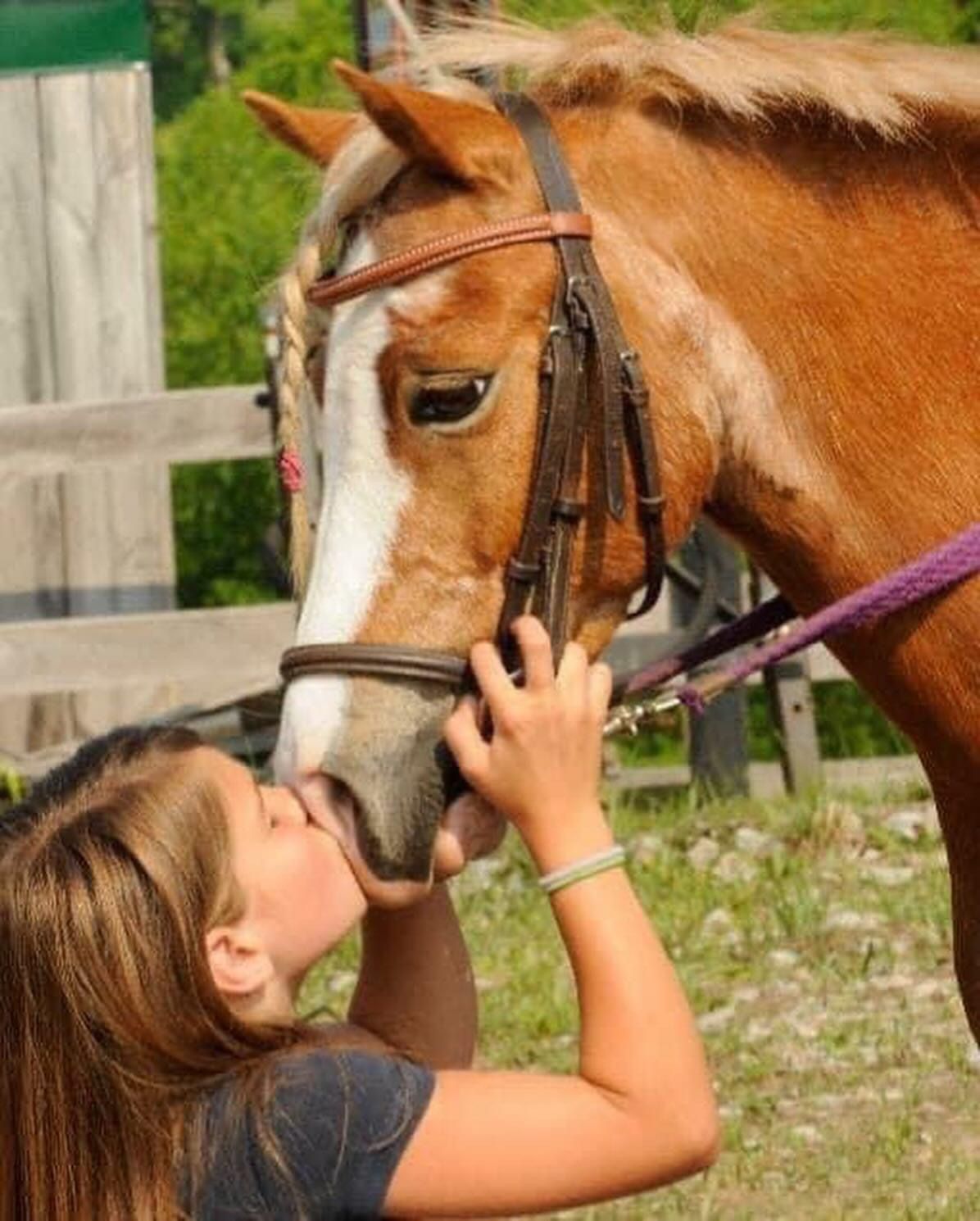 A girl is kissing a brown horse on the nose