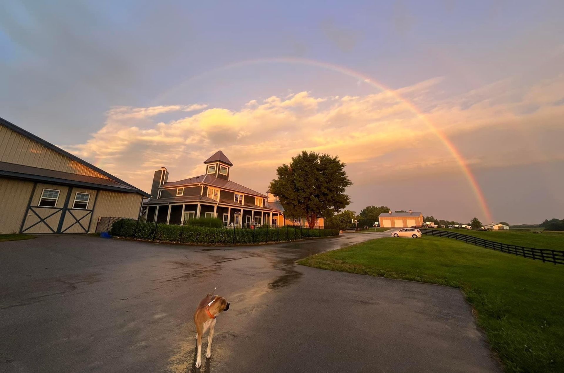 A dog is standing in front of a barn with a rainbow in the sky.