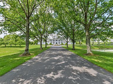 A driveway leading to a large white house surrounded by trees.