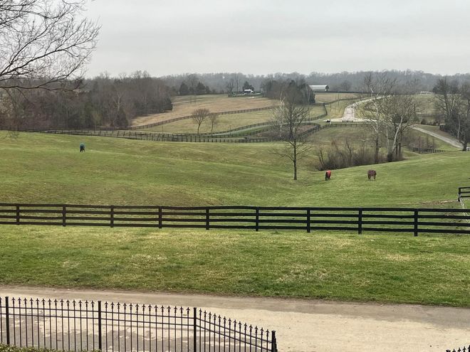 A large grassy field with a fence in the foreground and a road in the background.