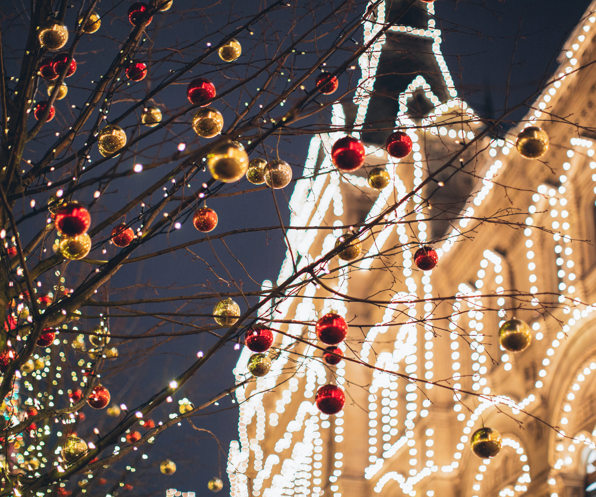 Christmas ornaments and lights adorn tree branches in front of a building at night.