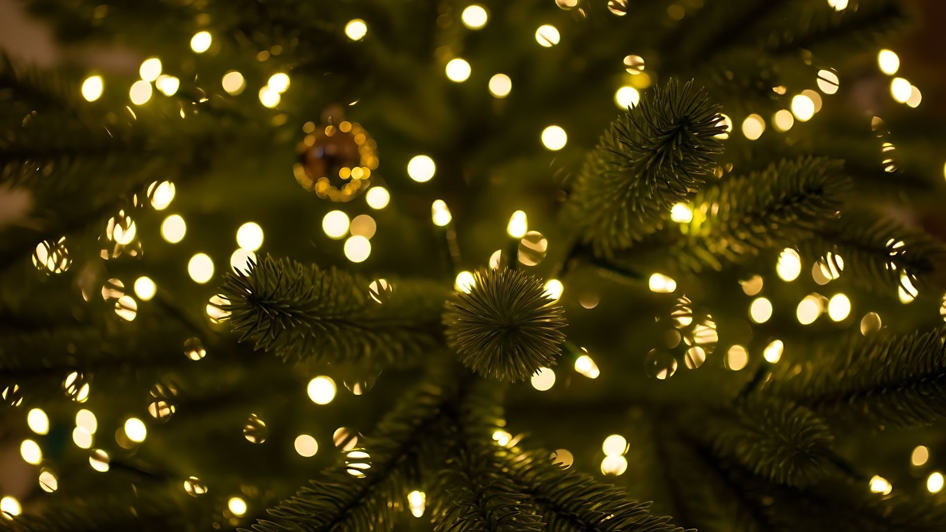 A cozy porch decorated for Christmas with a lit tree, a wreath on the door, and numerous candles glowing on the floor.