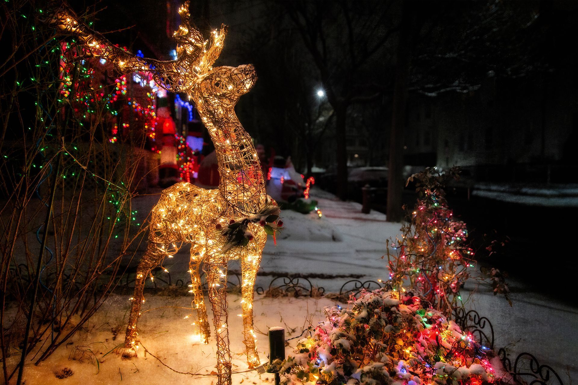 Lit-up reindeer decoration in snow, next to a tree with colorful lights on a snowy sidewalk at night.