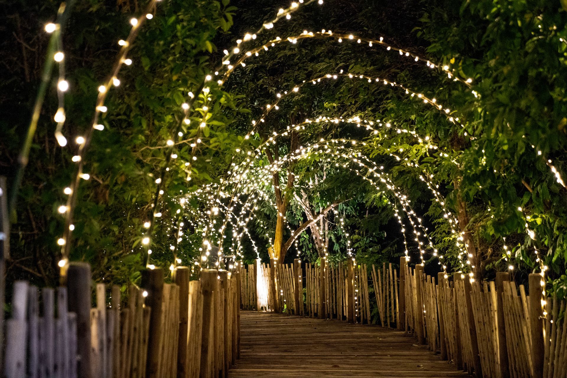 Wooden walkway with string lights arching over a dark green foliage, creating a warm, inviting glow.