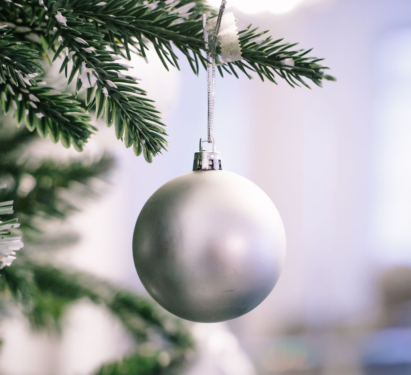 Christmas tree branch with red berries and gold leaves; blurred lights and a building in background.