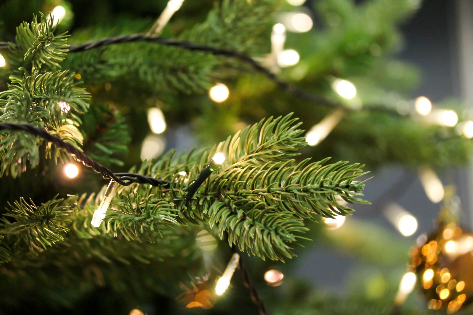 Christmas tree branch with warm white lights and a gold ornament. Christmas tree branch with warm white lights and a gold ornament.