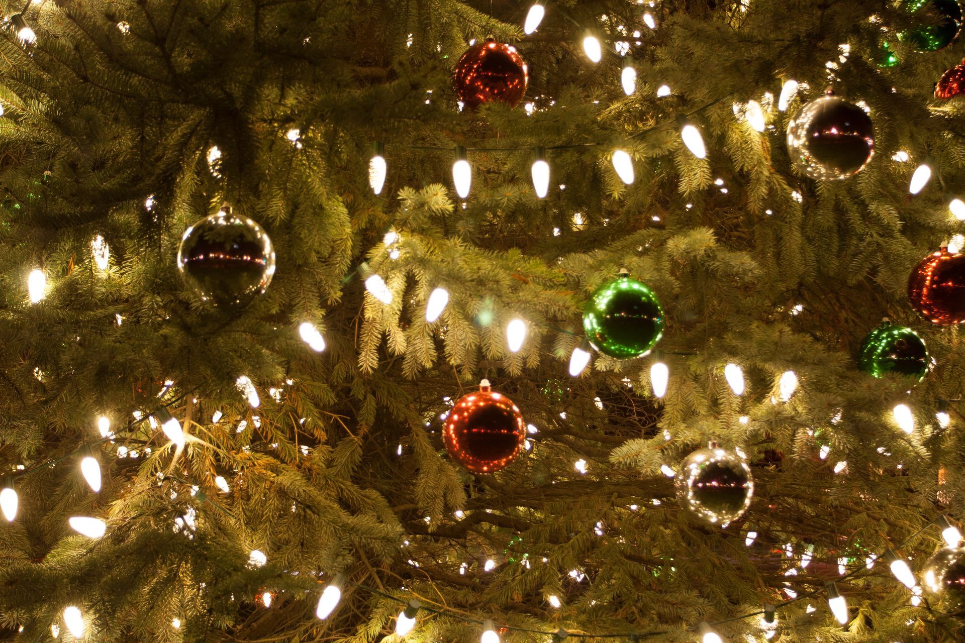 Christmas tree with red, green, and silver ornaments, illuminated by white lights.