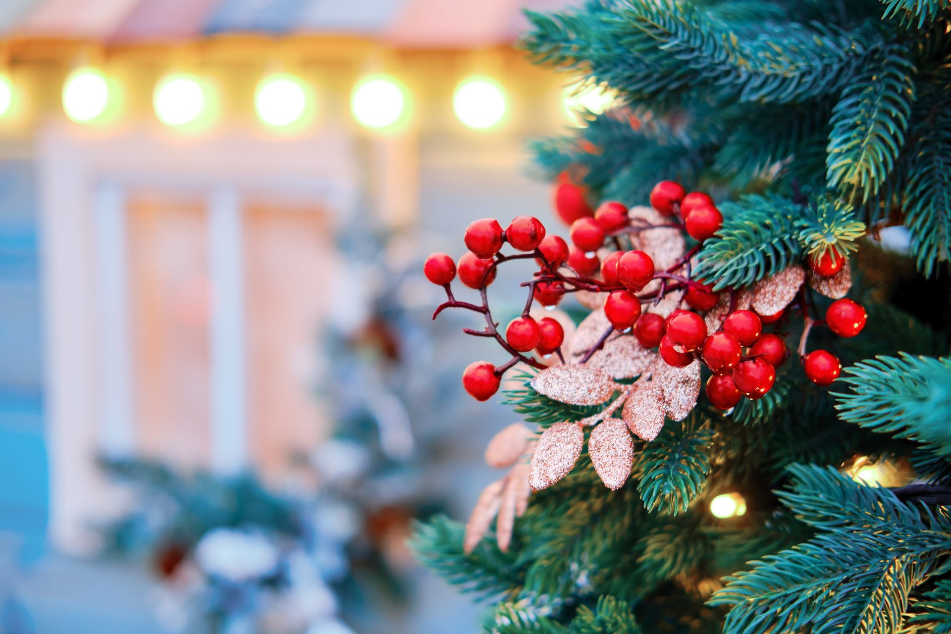 Christmas tree branch with red berries and gold leaves; blurred lights and a building in background.