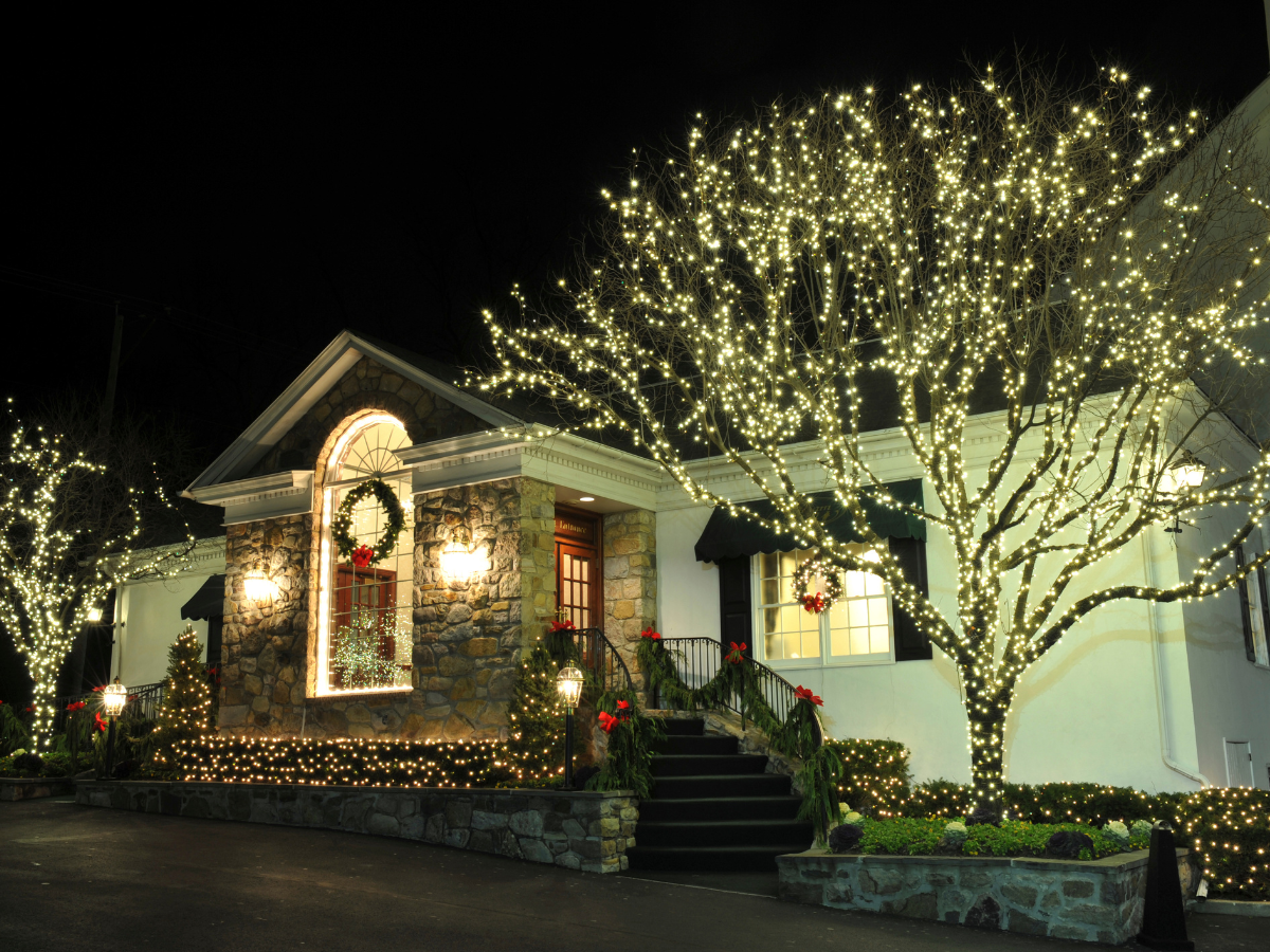 A house is decorated with christmas lights and trees