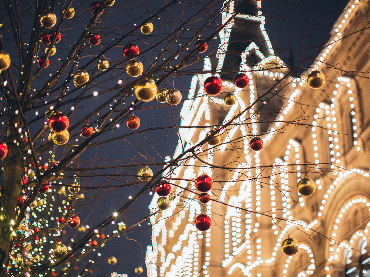 Christmas decorations are hanging from a tree in front of a building.