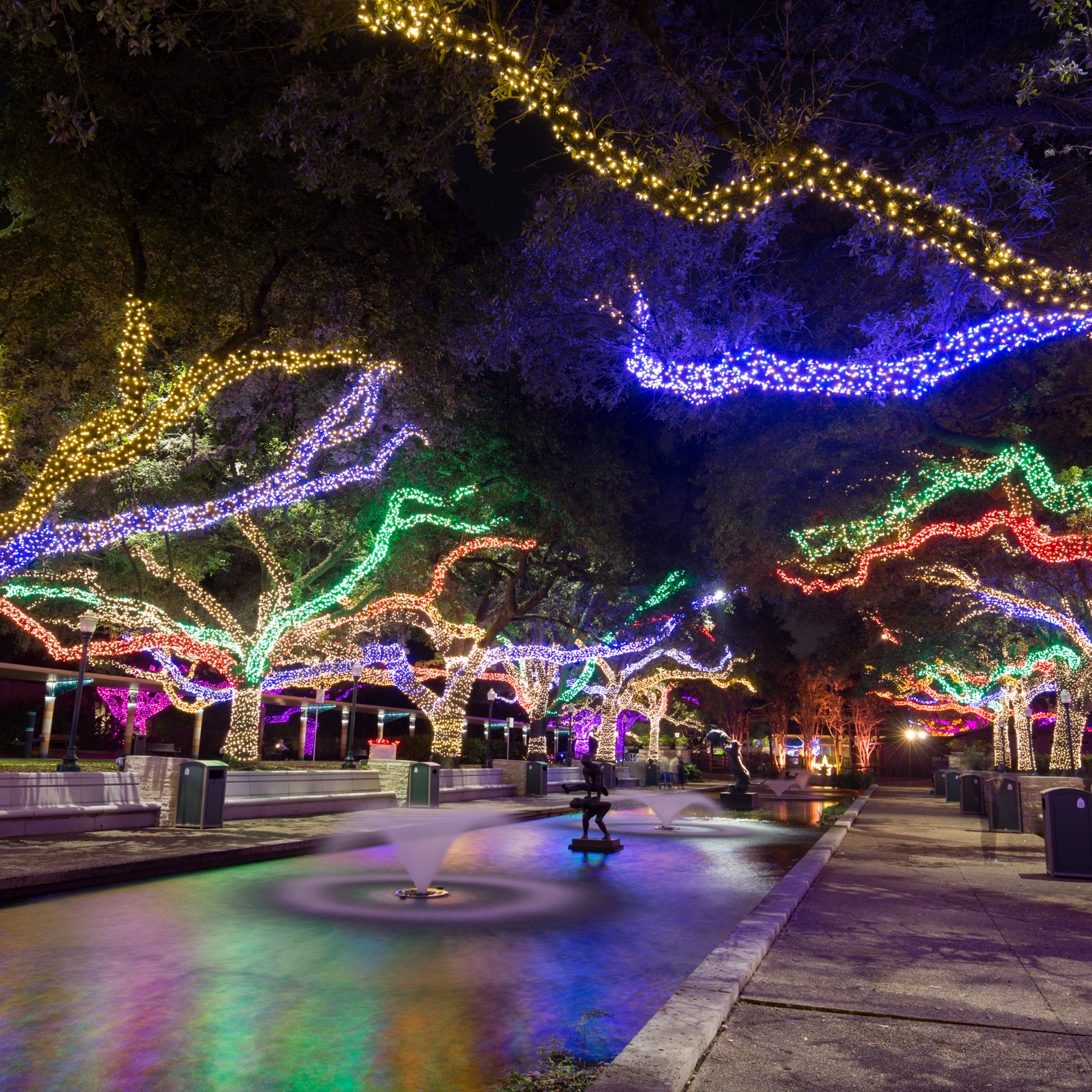 Trees decorated with colorful lights over a water fountain in a park at night.