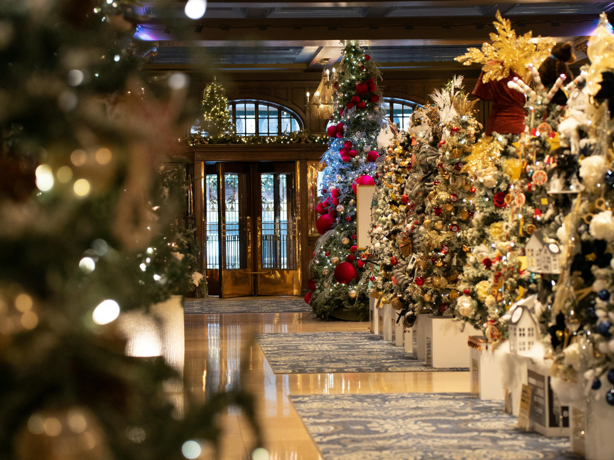A hallway filled with lots of christmas trees decorated for the holidays.