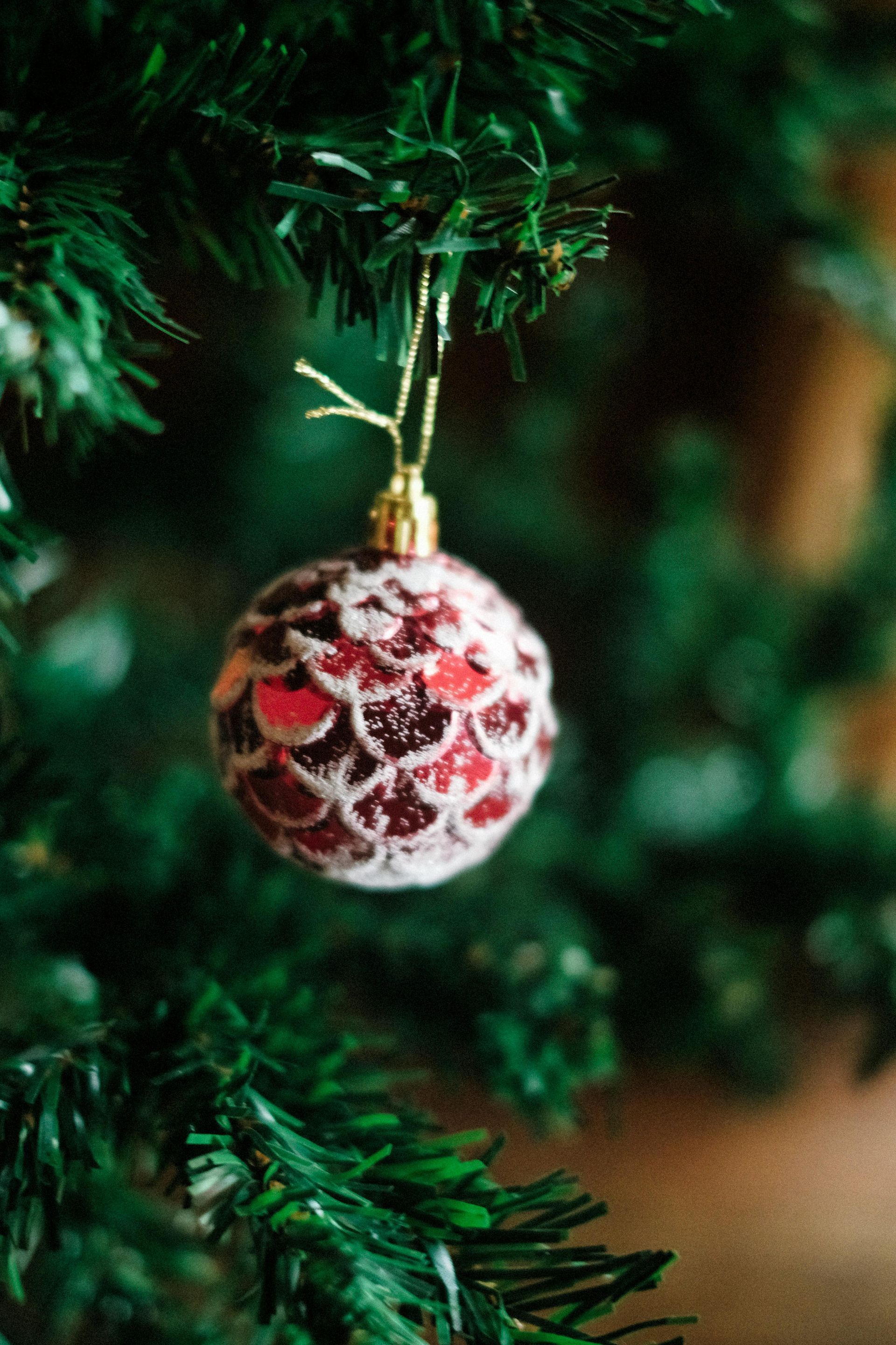 A close up of a christmas ornament hanging from a christmas tree.