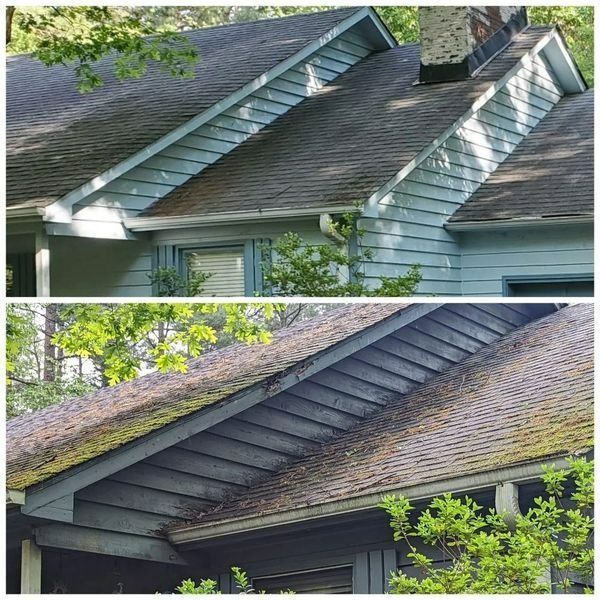 Two photos of a house roof before and after cleaning. Green algae is removed, revealing darker shingles.