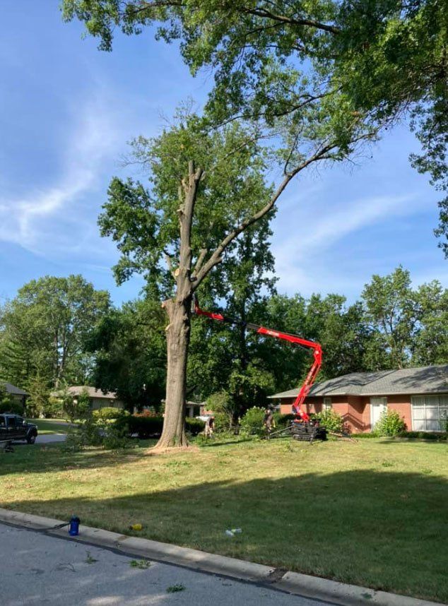 Tree Removal Service — Perryville, MO — Jay's Firewood & Mulch