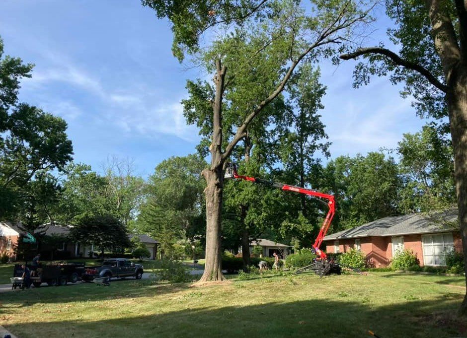 Ongoing Tree Removal — Perryville, MO — Jay's Firewood & Mulch