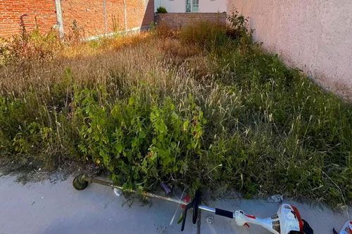 Limpieza de terrenos