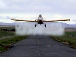 A small plane is spraying chemicals on a road.