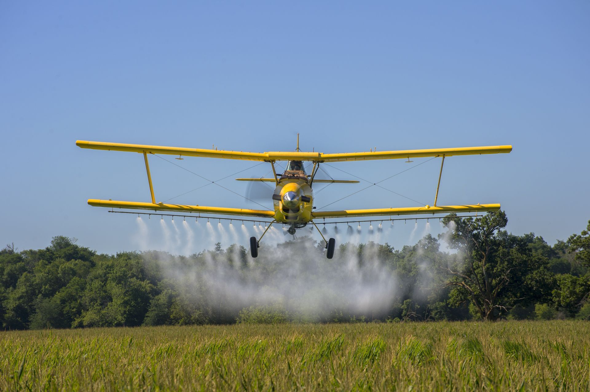 A yellow and black plane is flying over a field of flowers.